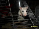 SAM_2633