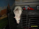 SAM_2637