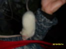 SAM_2645