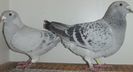 DSCF0217