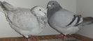 DSCF0258