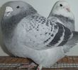 DSCF0262