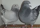 DSCF0266