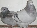DSCF0319