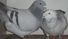 DSCF0324