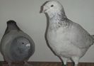 DSCF0331