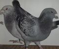 DSCF0332
