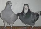 DSCF0338