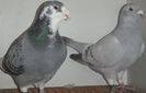DSCF0341