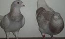 DSCF0355