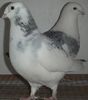 DSCF0360