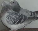 DSCF0363