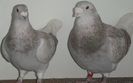 DSCF0365