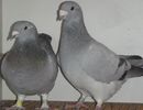 DSCF0397