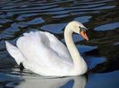 FB_IMG_1459352459216