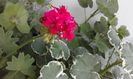20160331_073103