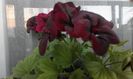 20160331_073222