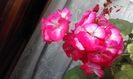 20160331_073439