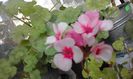 20160331_073608