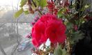 20160331_073813