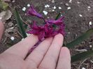 20160329_135912