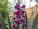 20160329_135921