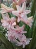20160329_140225