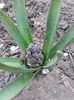 20160323_091553