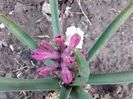 20160325_103411