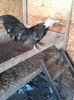 20160331_110503