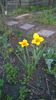 WP_20160331_09_04_16_Pro