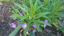 WP_20160331_09_05_52_Pro