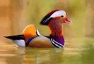 FB_IMG_1459491786282