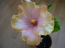 P1250541