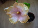 P1250543