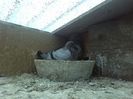 IMG_20160330_130417