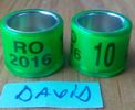 2016-verde-10 mm...-1 leu