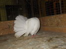 DSCN0851