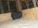 DSCN0850