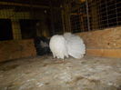 DSCN0826