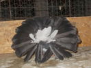 DSCN0825