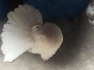 DSCN0816