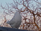 DSCN1465