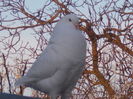 DSCN1466
