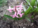 071