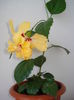 DSC04397