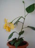 DSC04396
