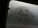 tumblr_myekbrG8sc1r7sc5ho1_540