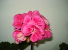 DSC04902