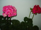 DSC04908